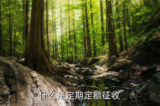 什么是定額征收，定額征稅是怎么弄的