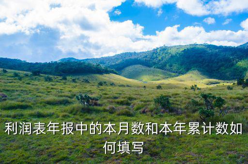 年報利潤表根據(jù)什么填寫，利潤表年報中的本月數(shù)和本年累計數(shù)如何填寫