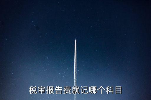 稅審費計入什么科目，稅審費屬于哪個科目