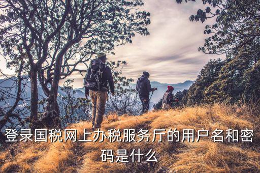 電子稅務(wù)局登錄賬號(hào)是什么，你好我想問(wèn)你 一下 網(wǎng)上國(guó)稅的用戶名和密碼是什么