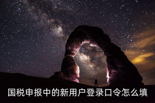 國(guó)稅用戶口令是什么，我想問下國(guó)家稅務(wù)網(wǎng)上申報(bào)點(diǎn)擊安全登錄時(shí)出現(xiàn)的用戶口令是什么