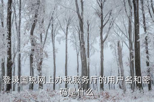 什么是電子稅務(wù)局登錄賬號，登錄國稅網(wǎng)上辦稅服務(wù)廳的用戶名和密碼是什么