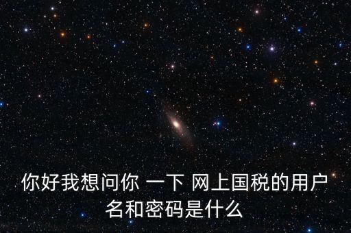 什么是電子稅務(wù)局密碼，你好我想問你 一下 網(wǎng)上國稅的用戶名和密碼是什么