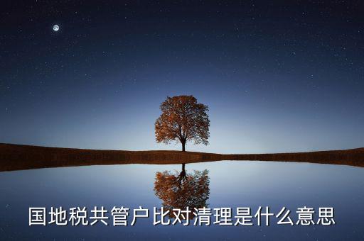 什么是國地稅共管，國稅地稅共管公司都需要每個月報稅嗎意思就是說我每個月地稅