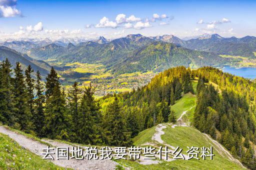 國稅地稅需要帶什么，去地稅局和國稅局報(bào)稅需要帶哪些資料