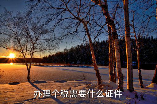 報(bào)個(gè)稅需要什么資料，個(gè)稅申報(bào)需要什么資料