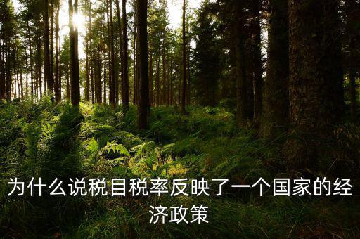 為什么說(shuō)稅目稅率反映了一個(gè)國(guó)家的經(jīng)濟(jì)政策