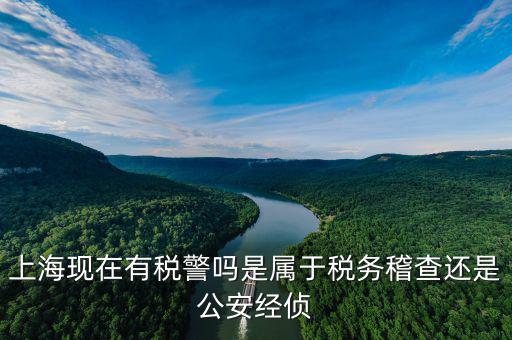 稅警機制辦公室干什么，上?，F(xiàn)在有稅警嗎是屬于稅務(wù)稽查還是公安經(jīng)偵