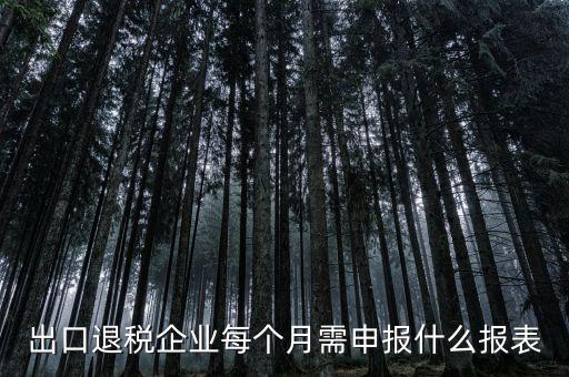 出口退稅每月需做什么申報，外貿(mào)企業(yè)第一次申報出口退稅需要準(zhǔn)備哪些資料