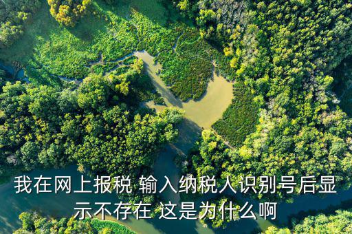個稅主賬戶不存在什么意思，為什么個稅網(wǎng)絡(luò)在線報稅登錄時用戶號不存在