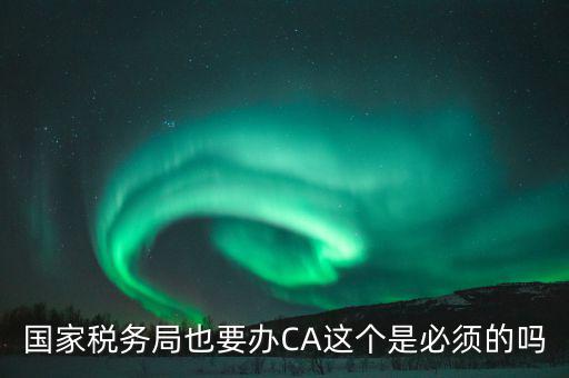 國(guó)稅ca是什么意思，短信提示我使用的國(guó)稅ca過期了什么個(gè)意思