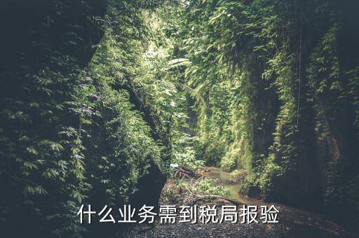 什么是稅務報驗，地稅發(fā)票報驗是什么回事啊 怎么報驗什么時候報驗啊