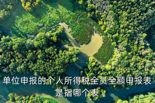 什么是個稅申報表，單位申報的個人所得稅全員全額申報表是指哪個表