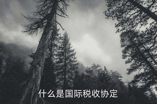稅收協(xié)定183天什么意思，183天需要代扣代繳個人所得稅嗎