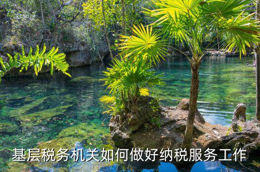 納稅服務(wù)是指什么，納稅服務(wù)的三個(gè)主體是什么