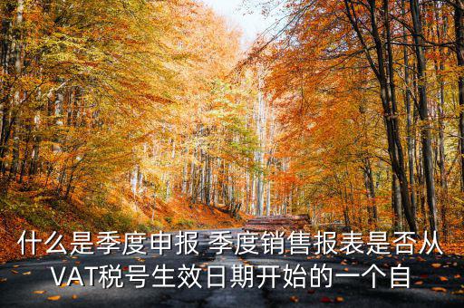 什么是季度申報(bào)表，有關(guān)企業(yè)申報(bào)的季度報(bào)表