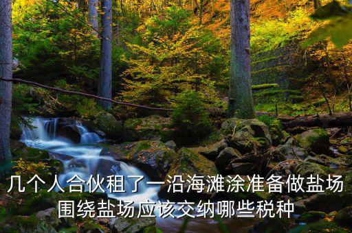 幾個人合伙租了一沿海灘涂準(zhǔn)備做鹽場圍繞鹽場應(yīng)該交納哪些稅種