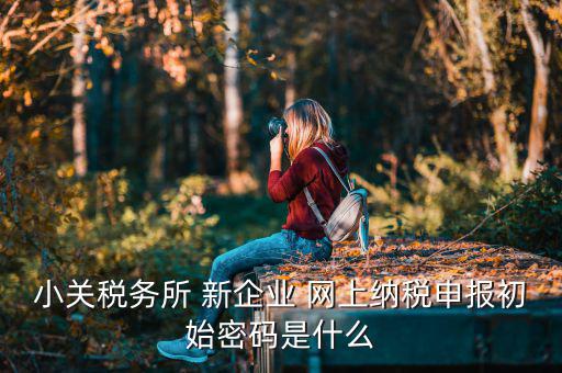 小關稅務所 新企業(yè) 網上納稅申報初始密碼是什么