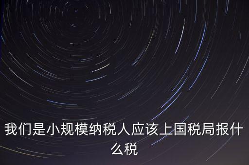 小規(guī)模要報(bào)什么稅，我想問問小規(guī)模納稅人報(bào)稅需要報(bào)些什么