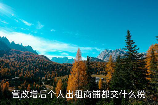 個人出租商鋪交什么稅，個人出租商鋪需要繳納什么稅