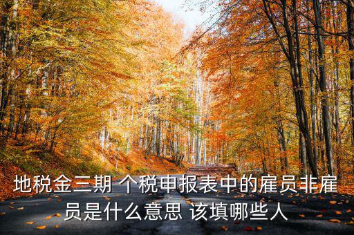 金稅四期是什么意思，地稅金三期 個(gè)稅申報(bào)表中的雇員非雇員是什么意思 該填哪些人