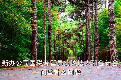 國稅局約談法人問什么，新辦公司國稅專管員約談法人和會計會問些什么問題