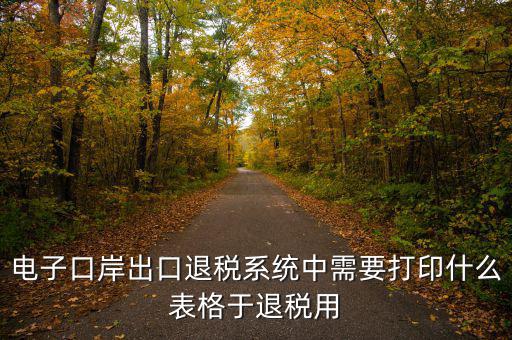 福建退稅備案的表格是什么樣的，出口退稅資格認定表