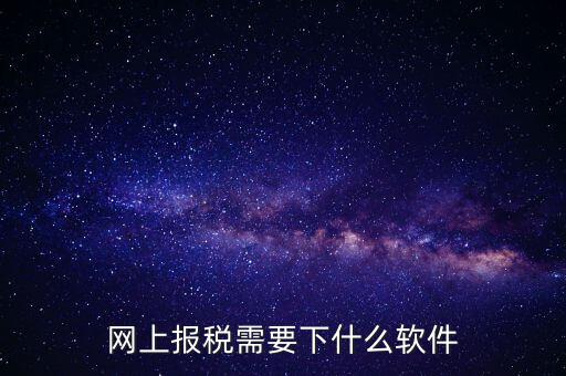 報(bào)國(guó)稅都安裝什么軟件，網(wǎng)上報(bào)稅需要下什么軟件