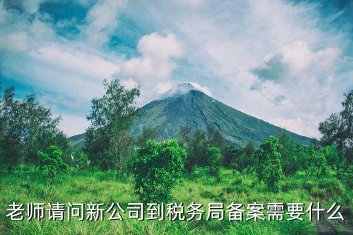 稅務(wù)報備需要什么材料，稅務(wù)備案需要哪些資料