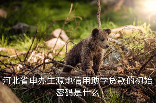 初始申報密碼是什么意思，國稅第一次網(wǎng)上申報的登陸密碼是什么
