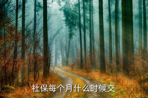 社保費(fèi)什么時(shí)候交，社保每年什么時(shí)候交