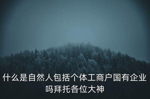 什么是稅務(wù)中的自然人，會計中自然人所指的是那種人