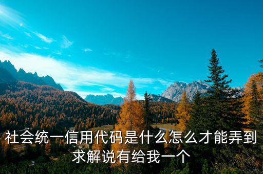 統(tǒng)一社會信代碼是什么樣的，深圳碼統(tǒng)一社會信用代碼是什么