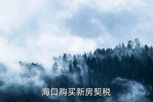 ?？谫徺I新房契稅