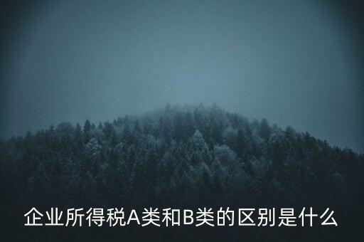 企業(yè)所得稅b類是什么意思，企業(yè)所得稅A類和B類的區(qū)別是什么