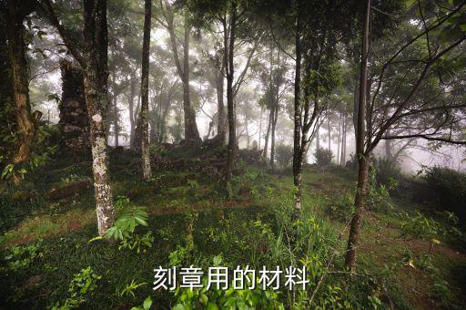 國(guó)家規(guī)定專(zhuān)用章用什么材質(zhì)的，刻章用的材料