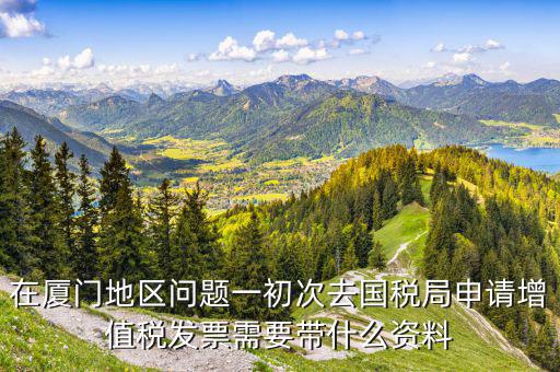 在廈門地區(qū)問題一初次去國(guó)稅局申請(qǐng)?jiān)鲋刀惏l(fā)票需要帶什么資料