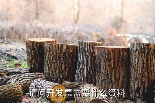 發(fā)票需要辦什么資料嗎，開發(fā)票需要什么東西嗎