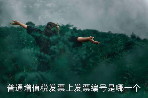 增值稅編號是什么，普通增值稅發(fā)票上發(fā)票編號是哪一個