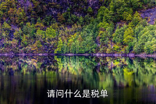 納稅申報單是什么，網(wǎng)上申報納稅都是什么報表 如何操作 簡單么