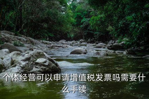 個(gè)體開(kāi)稅需要什么手續(xù)，個(gè)體戶(hù)辦理稅務(wù)登記證需要準(zhǔn)備哪些資料