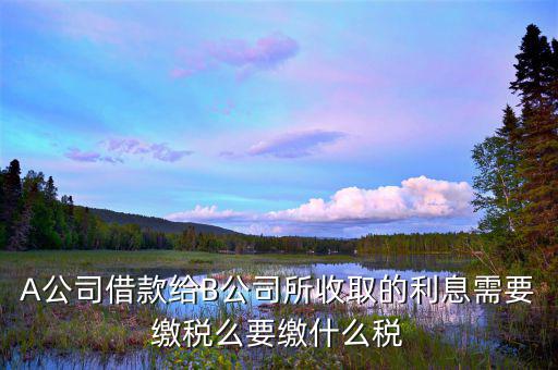 借款利息交什么稅，A公司借款給B公司所收取的利息需要繳稅么要繳什么稅