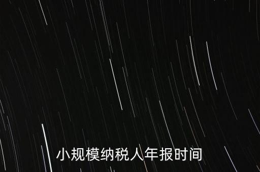 納稅申報年報什么時候，小規(guī)模納稅人年報時間