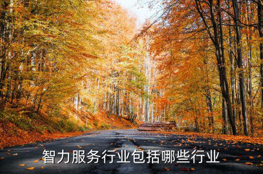 涉稅專業(yè)服務(wù)機(jī)構(gòu)包括什么，智力服務(wù)行業(yè)包括哪些行業(yè)