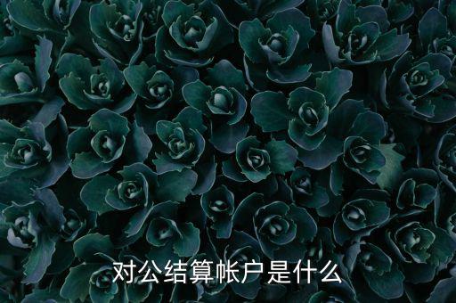 什么是稅務(wù)待結(jié)算賬戶，結(jié)算賬戶有哪些