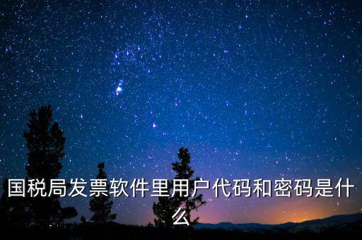 登錄稅務(wù)開票密碼是什么，國稅第一次網(wǎng)上申報的登陸密碼是什么