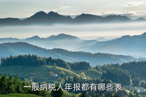 國(guó)稅年報(bào)是什么表，年報(bào)是指哪些報(bào)表是112月的嗎