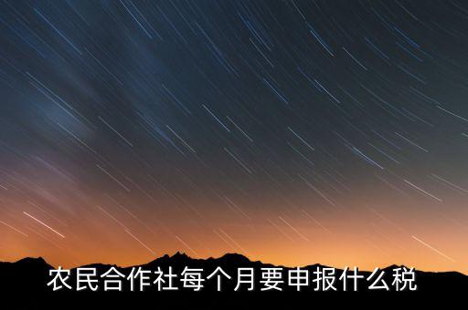 農(nóng)民合作社每個月要申報(bào)什么稅