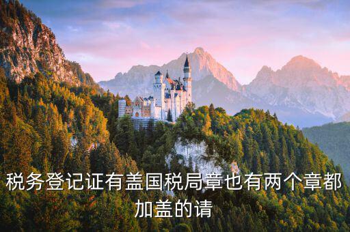 財稅證書什么樣，娛樂場所稅務登記證是什么樣子