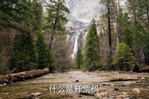 離線開票認(rèn)證碼是什么，國稅機(jī)打發(fā)票驗(yàn)證碼是什么機(jī)打發(fā)票的軟件需要指定公司安裝嗎